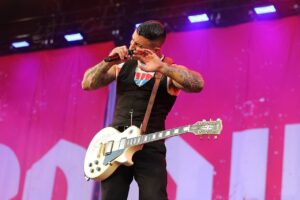 Rock im Park - Broilers